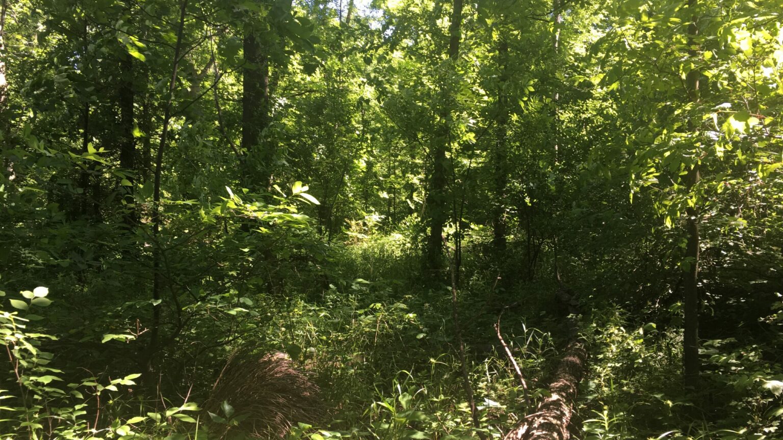 Nature Preserves Columbus Recreation and Parks Department
