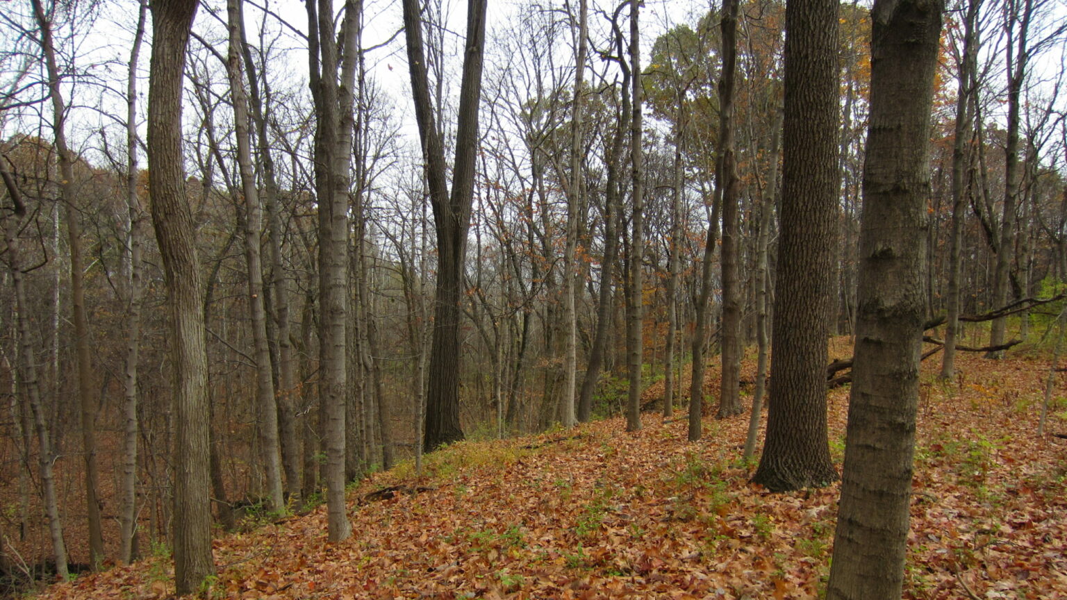 Nature Preserves Columbus Recreation and Parks Department