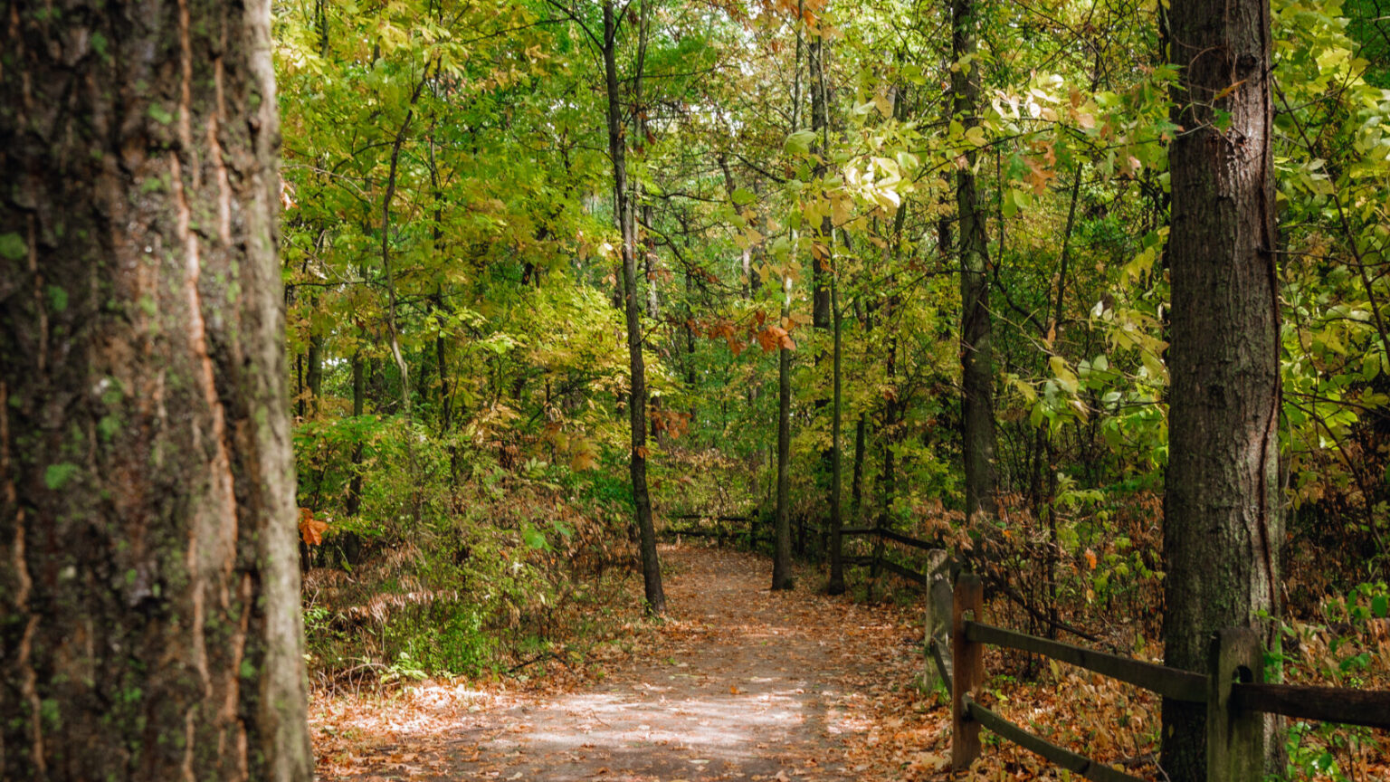 Nature Preserves | Columbus Recreation and Parks Department